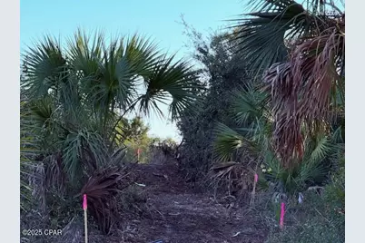 0 County Rd 30A, Port Saint Joe, FL 32456 - Photo 6