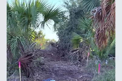 0 County Rd 30A, Port Saint Joe, FL 32456 - Photo 4