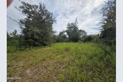 7215 Diane Lane, Panama City, FL 32404 - Photo 1