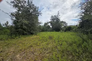 7215 Diane Ln, Panama City, FL 32404 - Photo 1