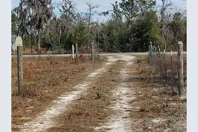 6939 NW Porter Grade Rd. Road, Altha, FL 32421 - Photo 4