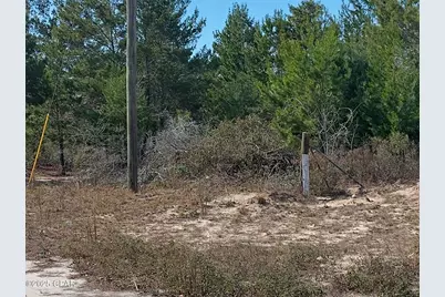 6939 NW Porter Grade Rd. Road, Altha, FL 32421 - Photo 12