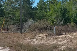 6939 NW Porter Grade Rd Rd, Altha, FL 32421 - Photo 12