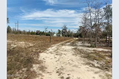 6939 NW Porter Grade Rd. Road, Altha, FL 32421 - Photo 6