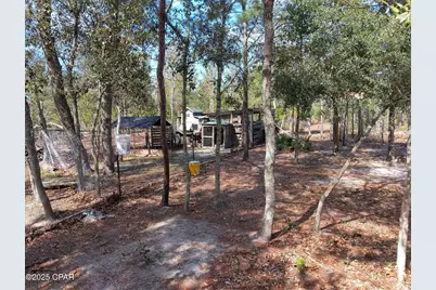 6939 NW Porter Grade Rd. Road, Altha, FL 32421 - Photo 1