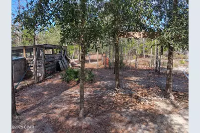 6939 NW Porter Grade Rd. Road, Altha, FL 32421 - Photo 8