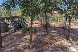 6939 NW Porter Grade Rd Rd, Altha, FL 32421 - Photo 8
