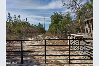 6939 NW Porter Grade Rd. Road, Altha, FL 32421 - Photo 10