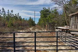 6939 NW Porter Grade Rd Rd, Altha, FL 32421 - Photo 10