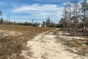6939 NW Porter Grade Rd Rd, Altha, FL 32421 - Photo 1
