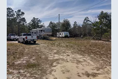 6939 NW Porter Grade Rd. Road, Altha, FL 32421 - Photo 6