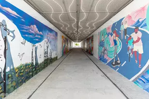 29 Beach View Dr, Inlet Beach, FL 32461 - Photo 40