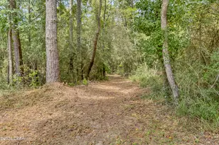 1955 N Hwy 181, Westville, FL 32464 - Photo 54