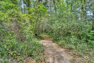 1955 N Hwy 181, Westville, FL 32464 - Photo 50