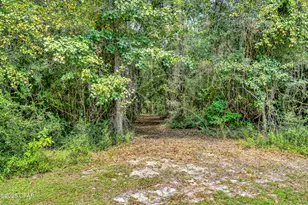 1955 N Hwy 181, Westville, FL 32464 - Photo 52