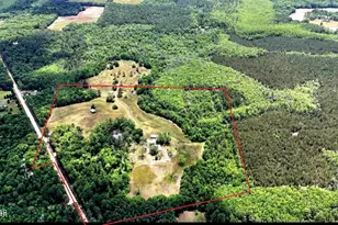 1718 Robbins Bridge, Bonifay, FL 32425 - Photo 2