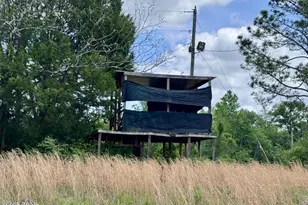 1718 Robbins Bridge, Bonifay, FL 32425 - Photo 28