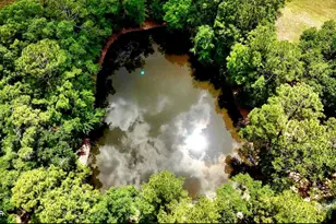 1718 Robbins Bridge, Bonifay, FL 32425 - Photo 36