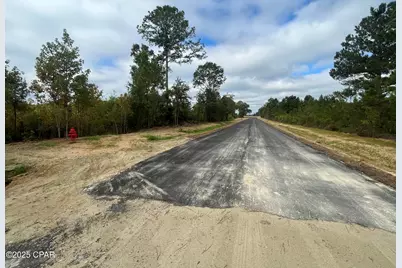 Xxxx Greensboro Hwy, Quincy, FL 32351 - Photo 4