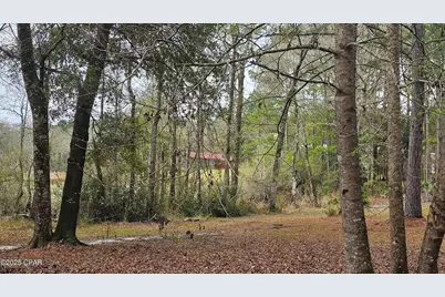 2474 Tiller Cemetery Drive, Chipley, FL 32428 - Photo 72