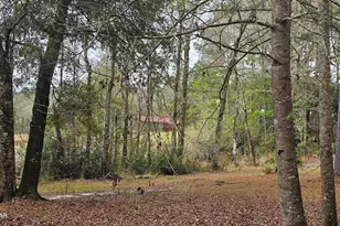 2474 Tiller Cemetery Dr, Chipley, FL 32428 - Photo 72