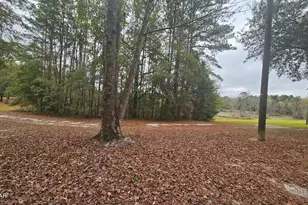 2474 Tiller Cemetery Dr, Chipley, FL 32428 - Photo 68