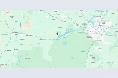 295 Gould Road, Quincy, FL 32351 - Photo 4