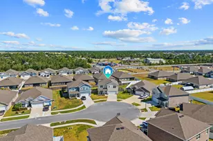 3008 Willie Dr, Southport, FL 32409 - Photo 36