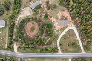 3041 Hunter Fish Camp Rd, Marianna, FL 32446 - Photo 4