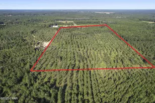 2649 Bonnett Pond Rd, Chipley, FL 32428 - Photo 6