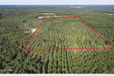 2649 Bonnett Pond Road, Chipley, FL 32428 - Photo 4