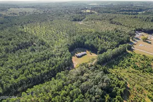 2649 Bonnett Pond Rd, Chipley, FL 32428 - Photo 8