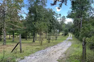 3731 Bull Run Ln Ln, Marianna, FL 32446 - Photo 4