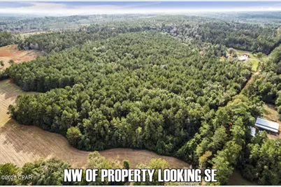 0 Ambus Lane, Chipley, FL 32428 - Photo 6