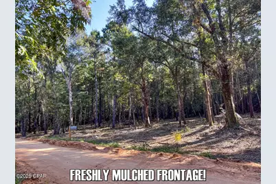 0 Ambus Lane, Chipley, FL 32428 - Photo 10