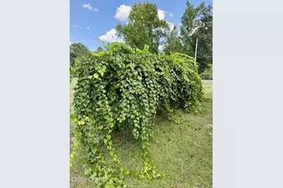 1154 10th Avenue, Graceville, FL 32440 - Photo 14