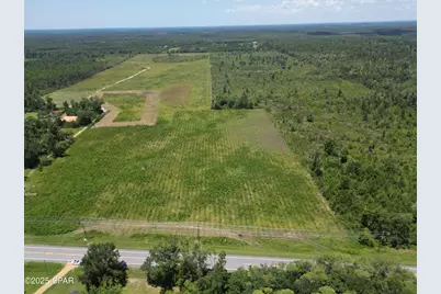 Lot 1 Hwy 71, Wewahitchka, FL 32465 - Photo 6