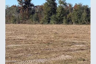Lot 1 Hwy 71, Wewahitchka, FL 32465 - Photo 4
