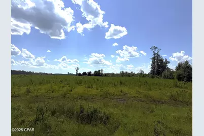 Lot 1 Hwy 71, Wewahitchka, FL 32465 - Photo 2