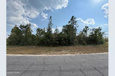 0000 Trellis Drive, Chipley, FL 32428 - Photo 1