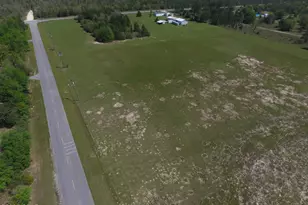 5279 NW County Rd 274, Altha, FL 32421 - Photo 6