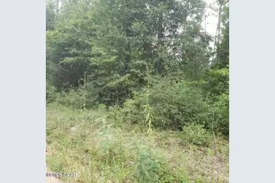 Xxx Foxworth Road, Chipley, FL 32428 - Photo 2