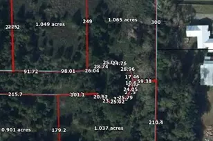 0000 Gerald St, Sneads, FL 32460 - Photo 2