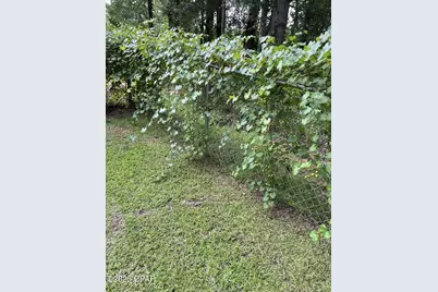 4667 Fox Trace, Marianna, FL 32446 - Photo 76