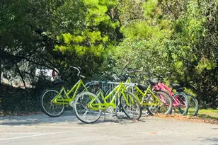 34 Heron's Watch Way, Santa Rosa Beach, FL 32459 - Photo 16