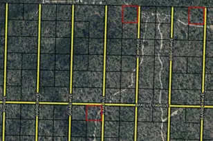 Lot 1/4/16 Hwy 20, Youngstown, FL 32466 - Photo 1