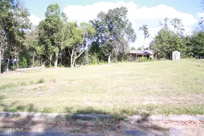 00000 Miltonia Avenue, Marianna, FL 32446 - Photo 2