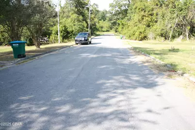 00000 Miltonia Avenue, Marianna, FL 32446 - Photo 4