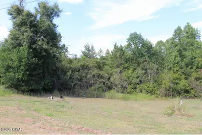 0 NW State Road 12, Bristol, FL 32321 - Photo 12