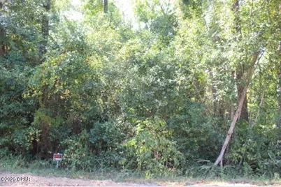 0 NW Hall Circle, Bristol, FL 32321 - Photo 8